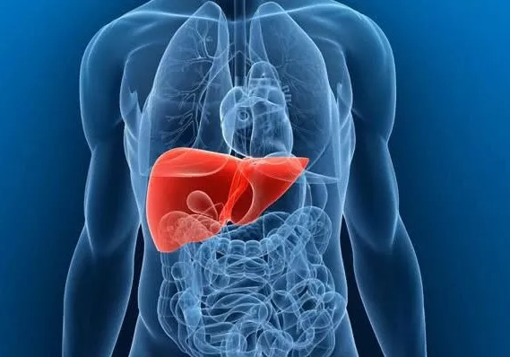 甲狀腺結節(jié)